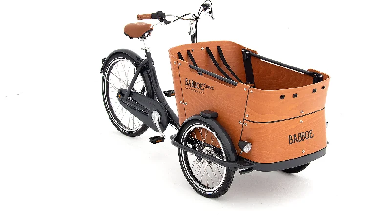 bicycle folding bike portability-Babboe Curve-E Disc Transportrad