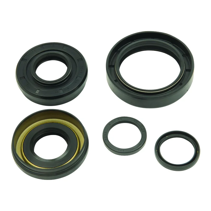 bicycle coaster brake repair-Differential Seal Only Kit Front